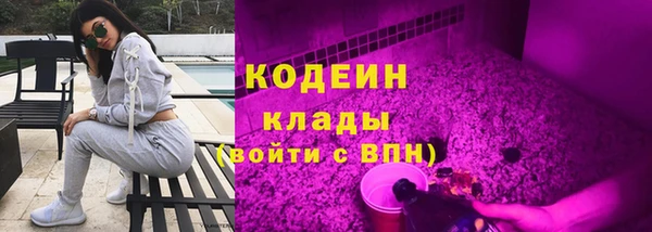 дмт Осинники