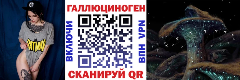 hydra сайт Сафоново Галлюциногенные грибы Psilocybe